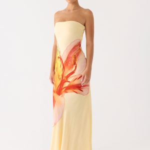 Ashwin Strapless Beaded Maxi Dress - Sunpetal Print